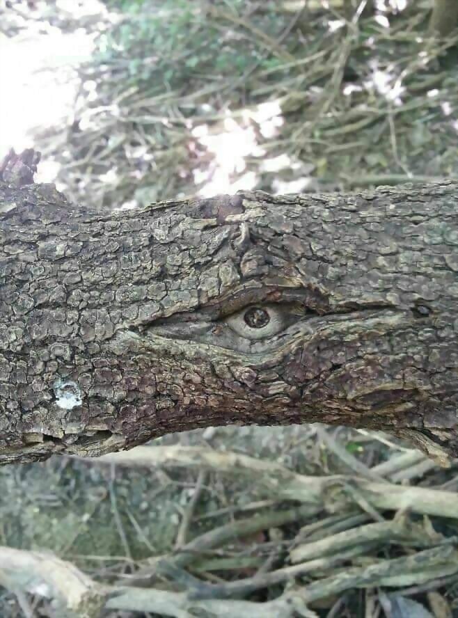 TAL DIA COMO HOY...