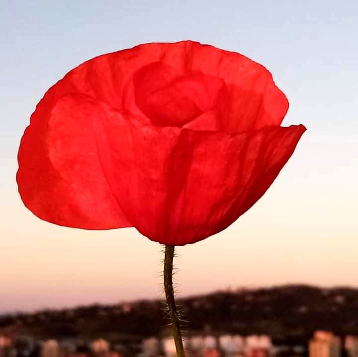 TAL DÍA COMO HOY