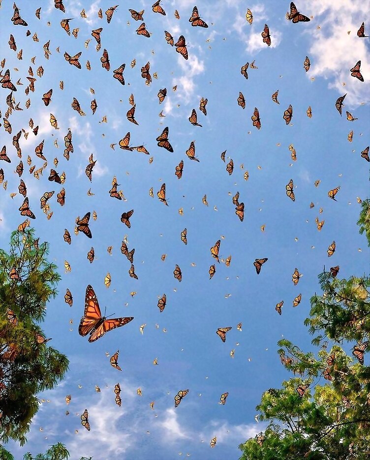 TAL DÍA COMO HOY