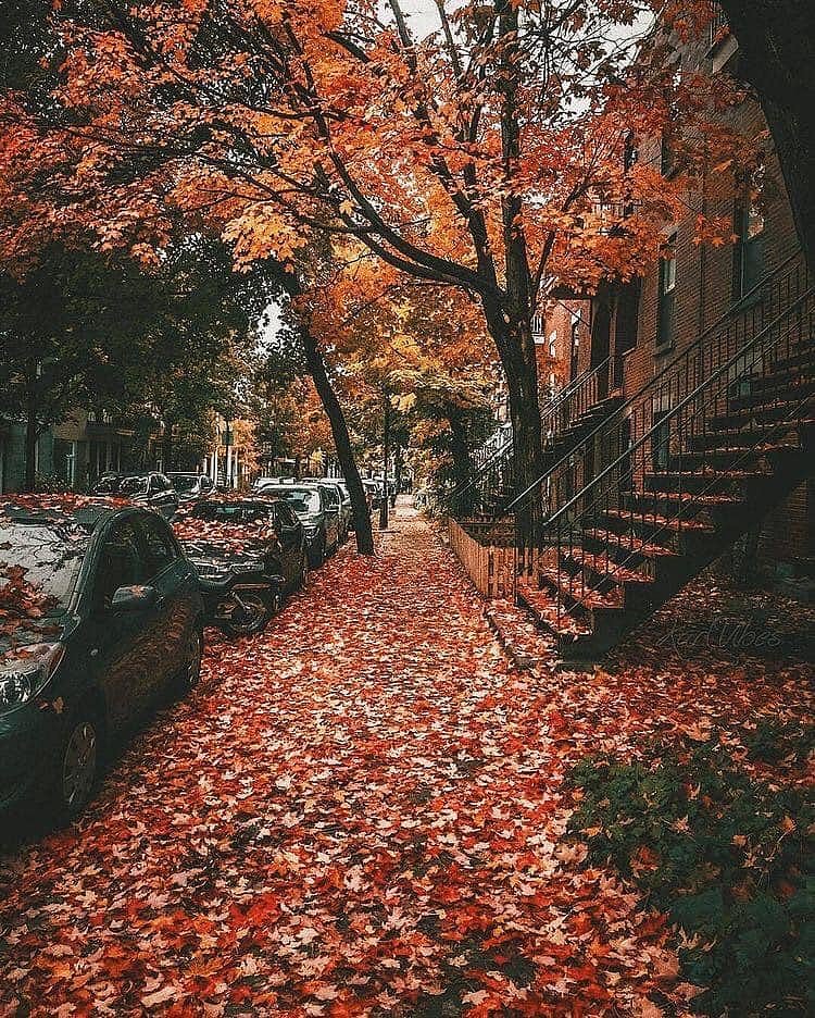 TAL DÍA COMO HOY