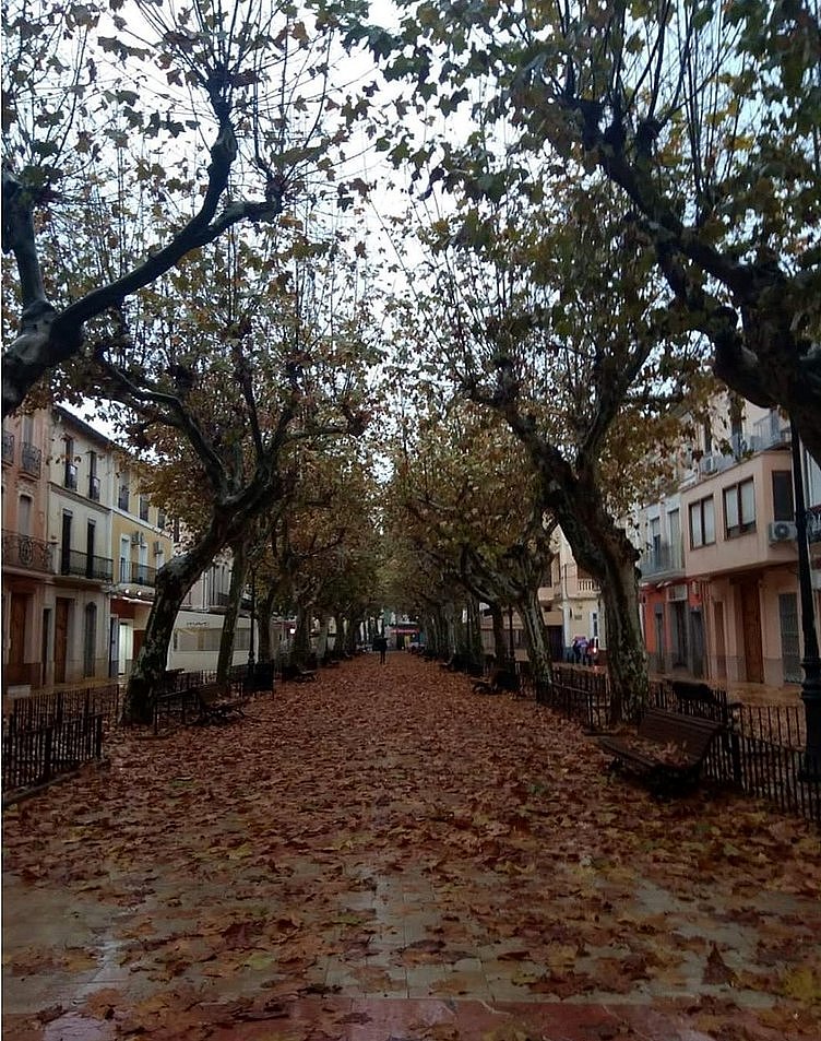 TAL DÍA COMO HOY