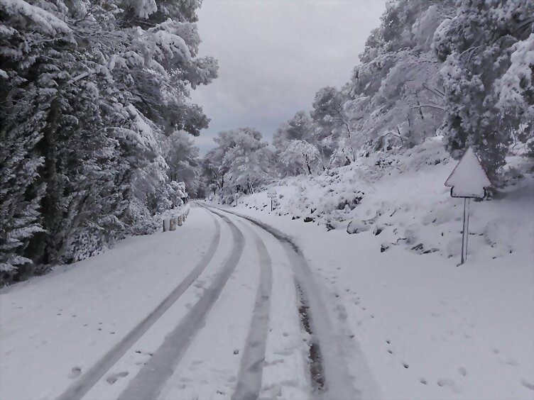 TAL DÍA COMO HOY