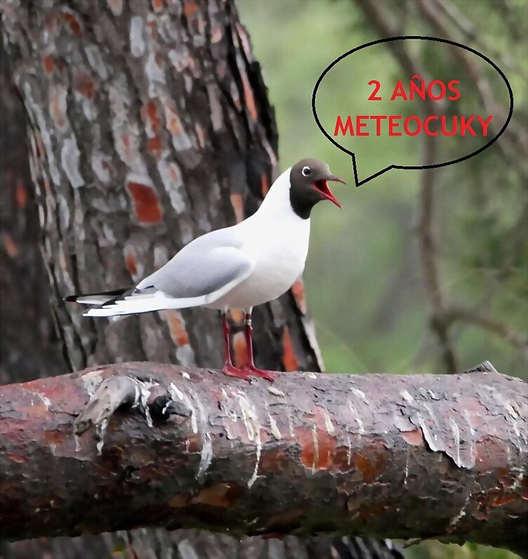 TAL DÍA COMO HOY