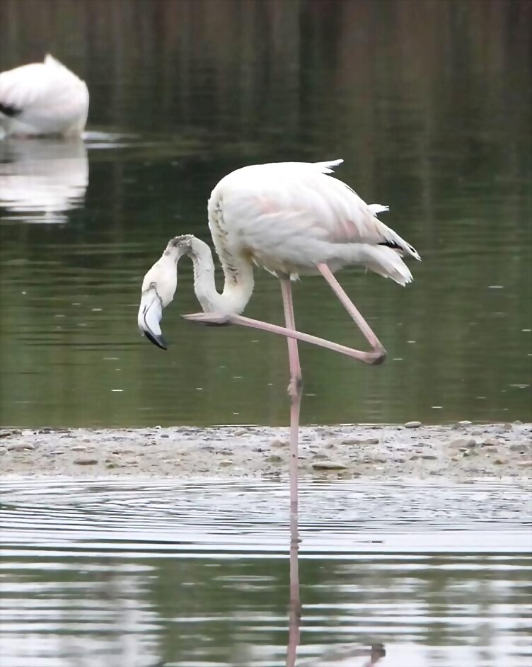 TAL DÍA COMO HOY