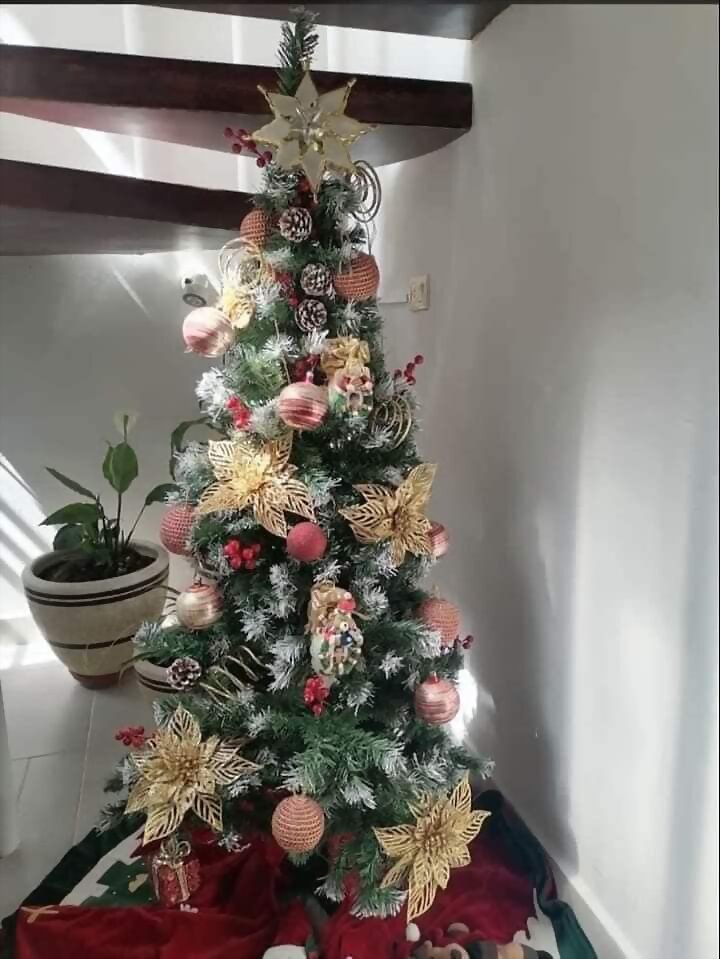 TAL DIA COMO HOY...