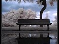 melancolia