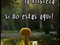 :(