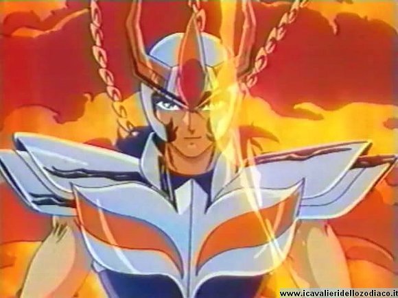 Fenix hoy