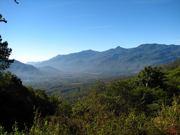 RENACIENDO