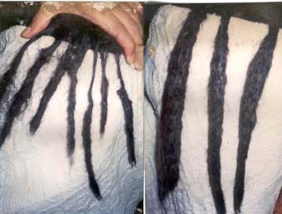DREADS TO FIX    PHOTOS