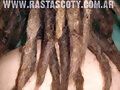 dreadlocks to fix dreads reggae picture,photos