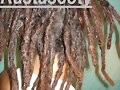 PELUQUERIA RASTA,ARREGL0S Y EXTENSIONES 4554-4711