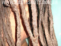 DREADLOCKS DREADS RASTAS