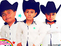 los cherris infantes