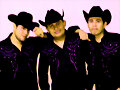 puro Cherris