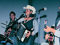los cherris nuevamente