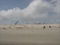 La playa, el dominio del Gaviao