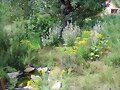 Recinto de las ornatas en primavera -2