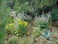 Recinto de las ornatas en primavera -3