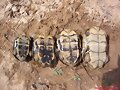 Plastrones de Mauremys leprosa