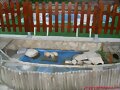 Estanque tropicales