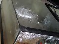 Incubadora ba&ntilde;o maria