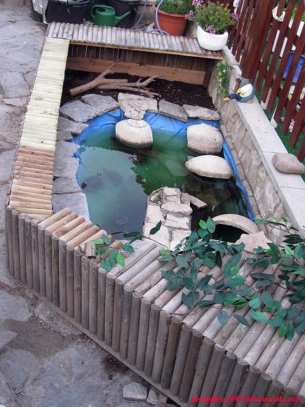 Remodelación valla de estanque
