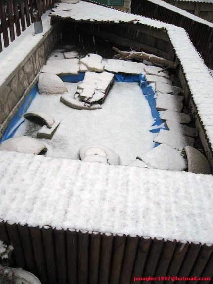 Estanque nevado