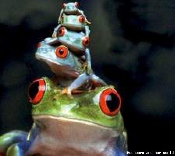 Frogs