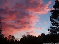 La vie en rose