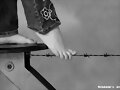 Un perfecto equilibrio