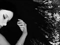 13 l&iacute;neas para vivir (Gabriel Garc&iacute;a M&aacute;rquez)