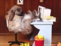 La comodidad