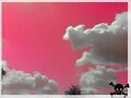 Le ciel est rose