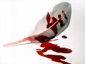 A sangre