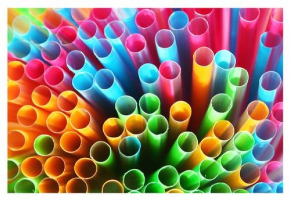 La vida de colorines