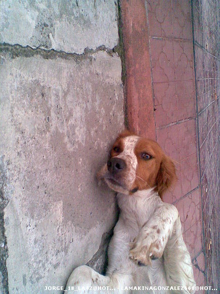 Ex Huesitos... Ahora Lolita!!!...