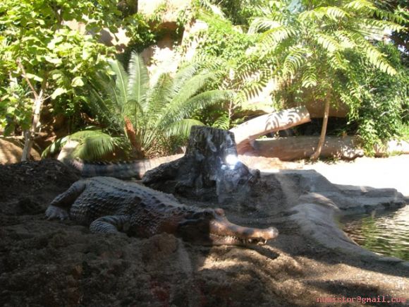 Zoologico de Fuengirola