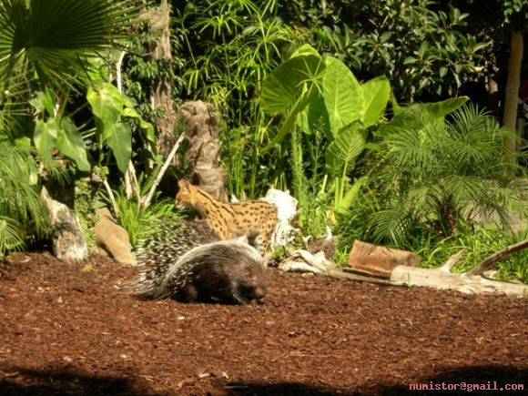 Zoologico de Fuengirola
