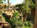 Zoologico de Fuengirola