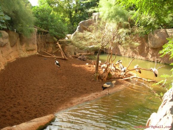 Zoologico de Fuengirola