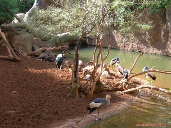 Zoologico de Fuengirola