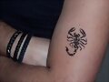 Scorpion Tattoo
