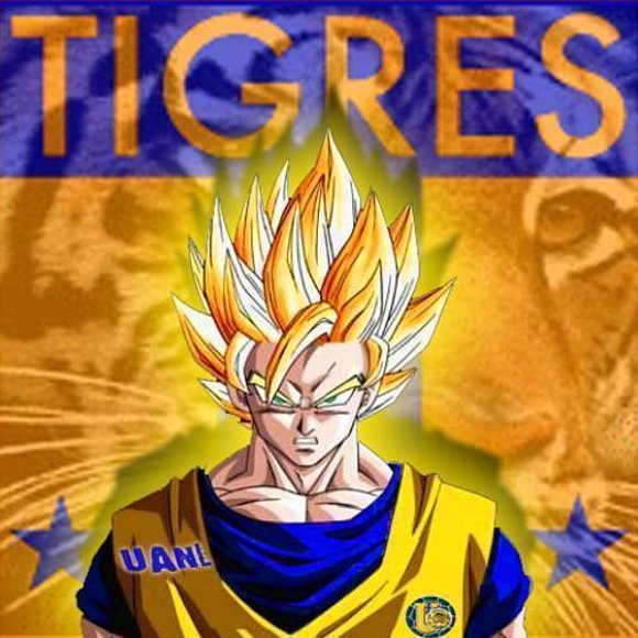 Goku Tigres