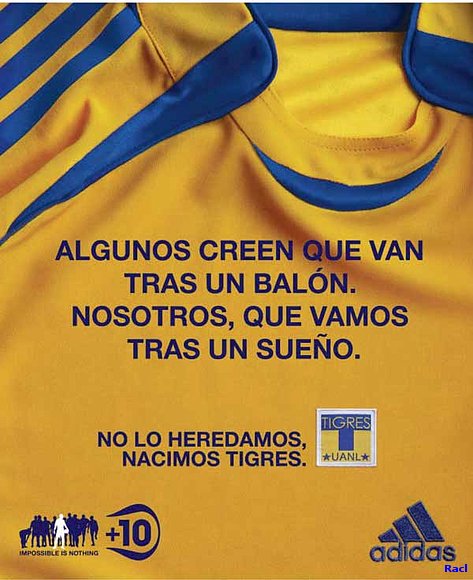 tigres