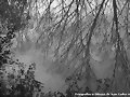 reflejo en el rio