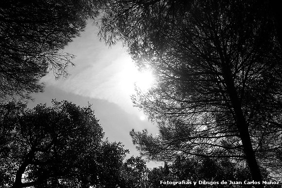 ATARDECER