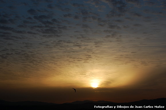 al, caer la tarde