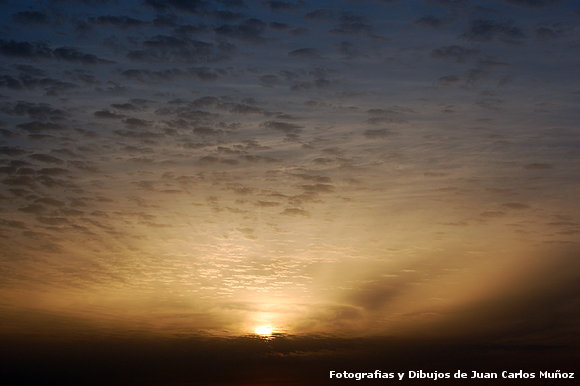 Al caer la tarde II