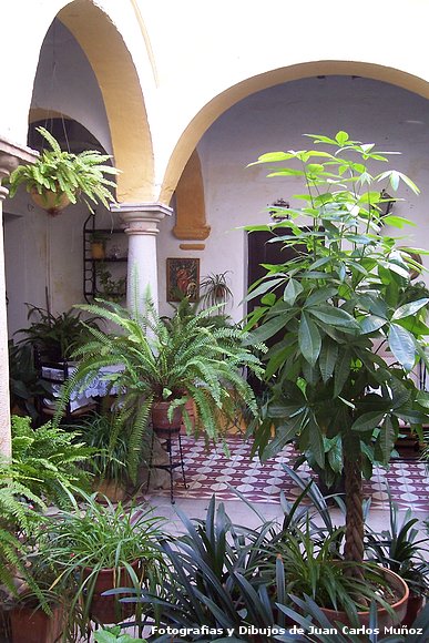 Patio Andaluz
